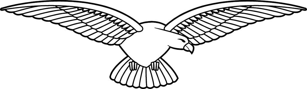 Detay Görüntüsü