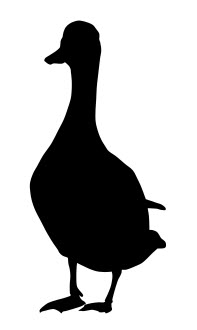 Detay Görüntüsü