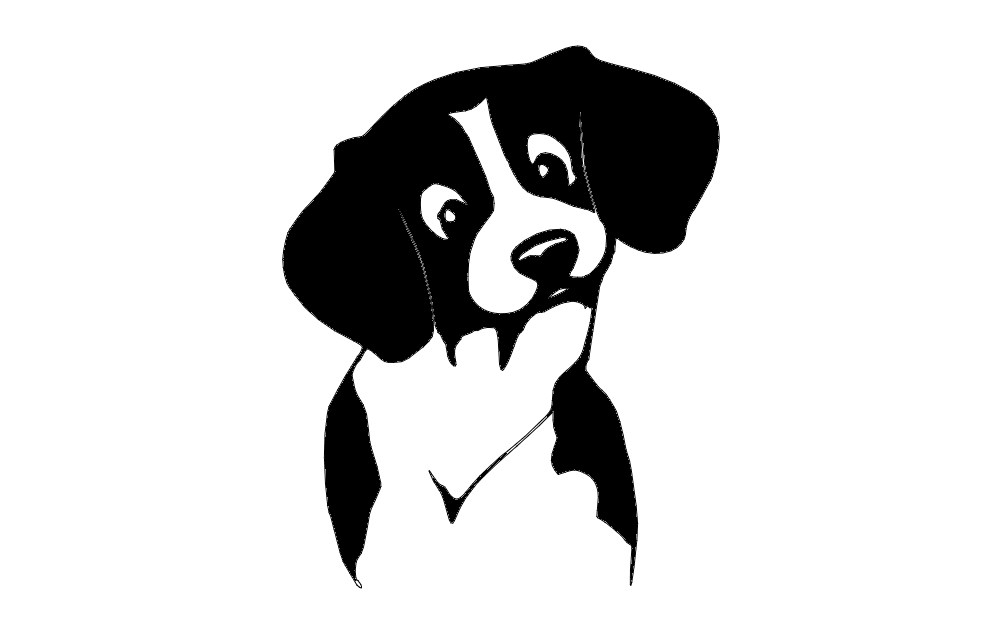 Detay Görüntüsü