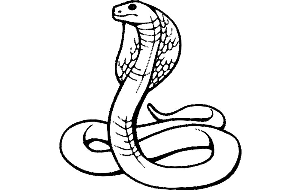 Detay Görüntüsü