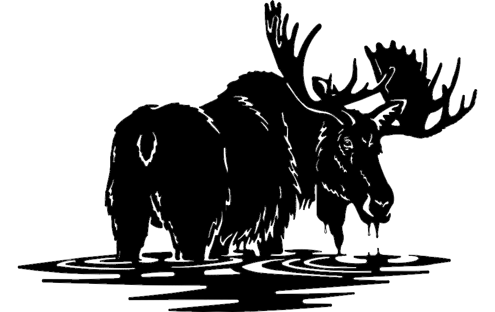 Detay Görüntüsü