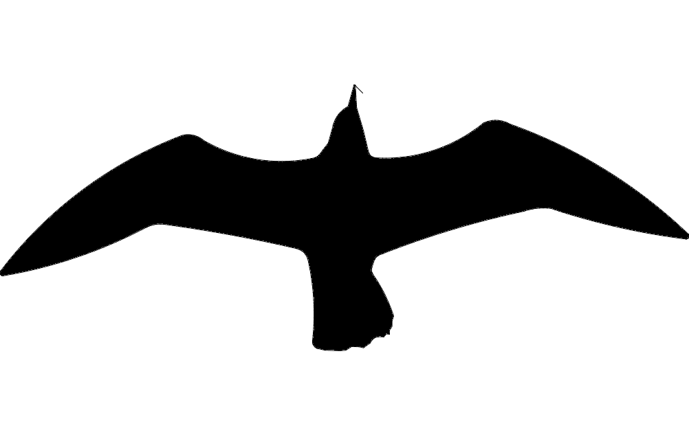 Detay Görüntüsü