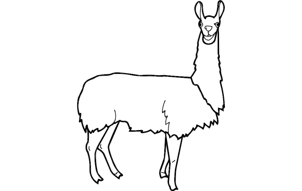 Detay Görüntüsü