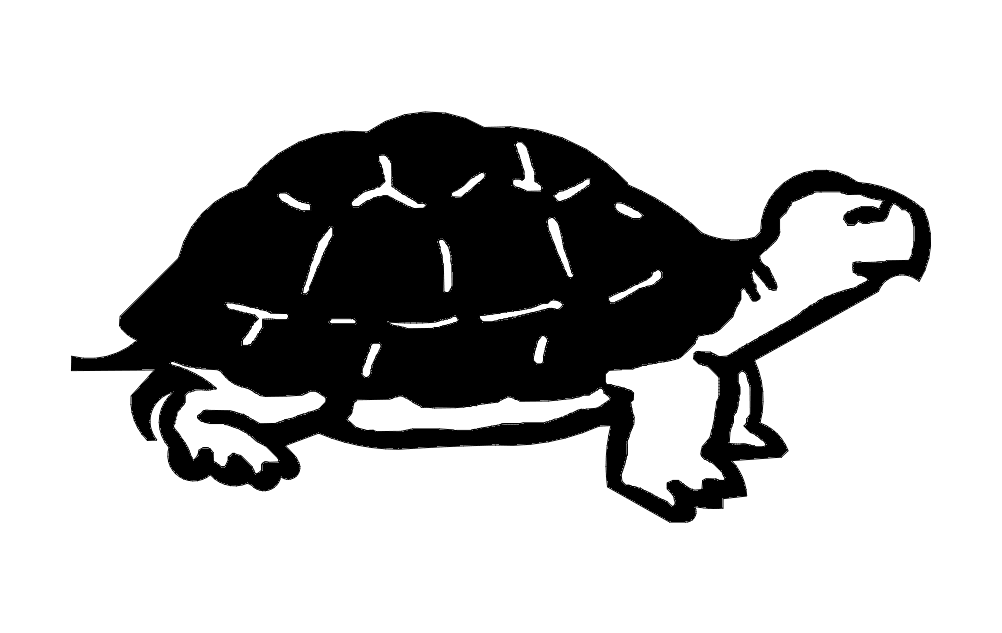 Detay Görüntüsü