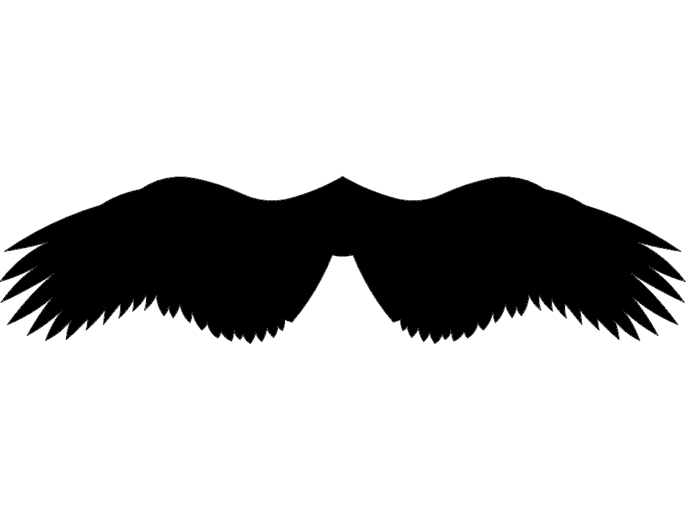 Detay Görüntüsü