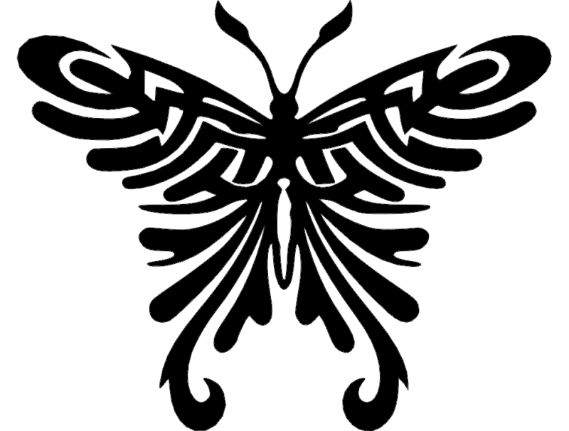 Detay Görüntüsü