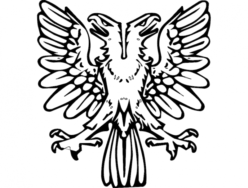 Detay Görüntüsü