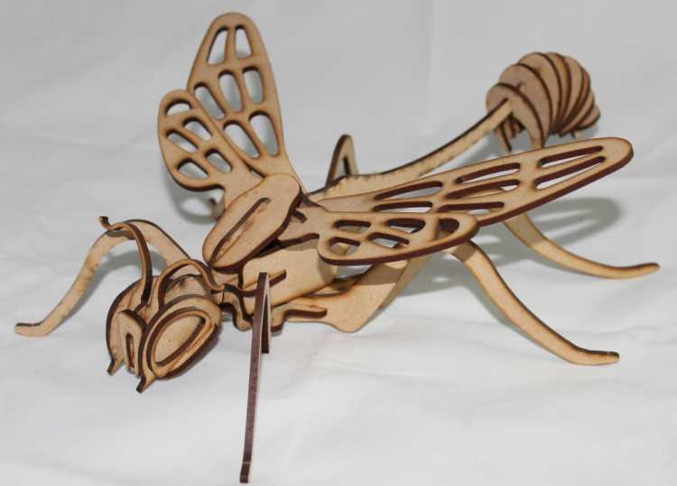 Detay Görüntüsü