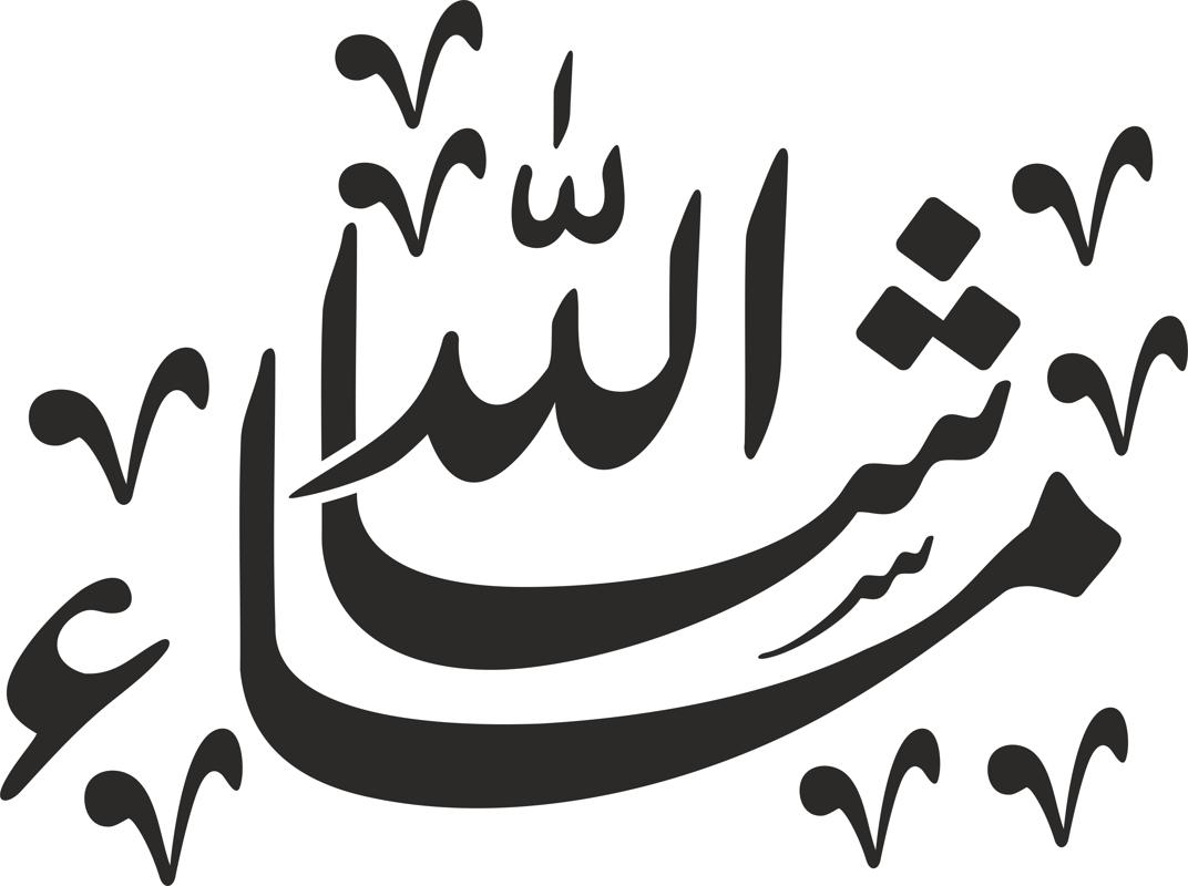 Detay Görüntüsü