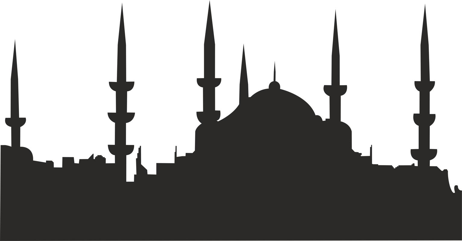 Detay Görüntüsü