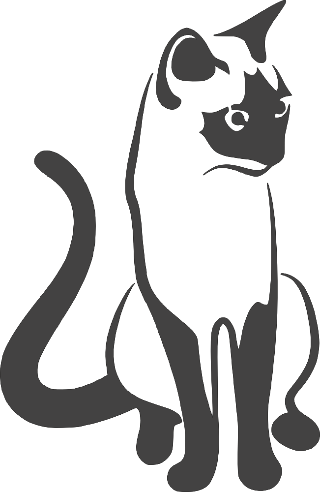 Detay Görüntüsü