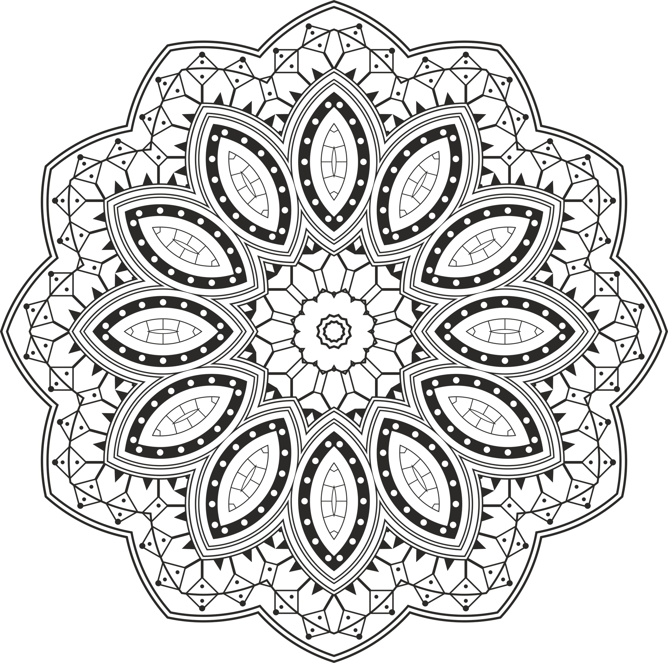 Detay Görüntüsü