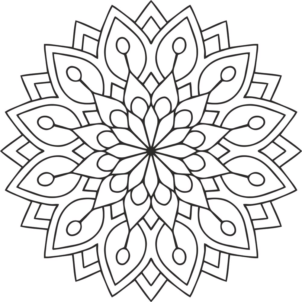 Detay Görüntüsü