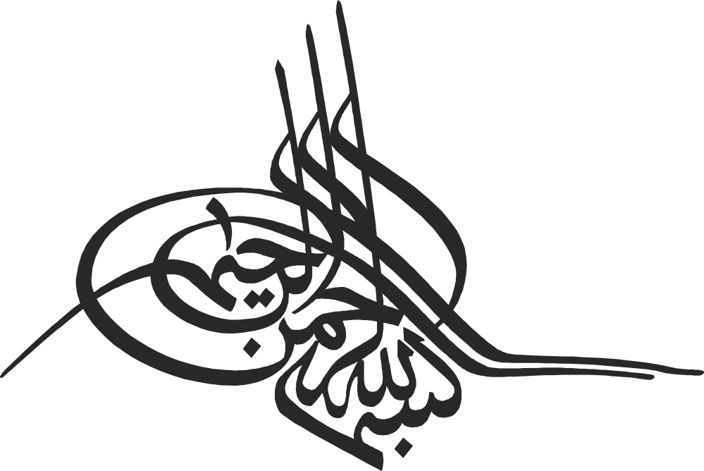 Detay Görüntüsü