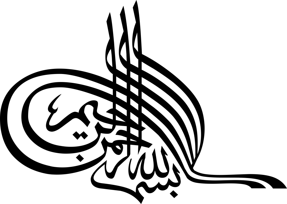 Detay Görüntüsü