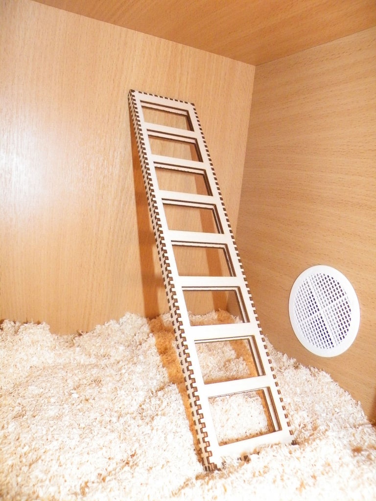 Detay Görüntüsü