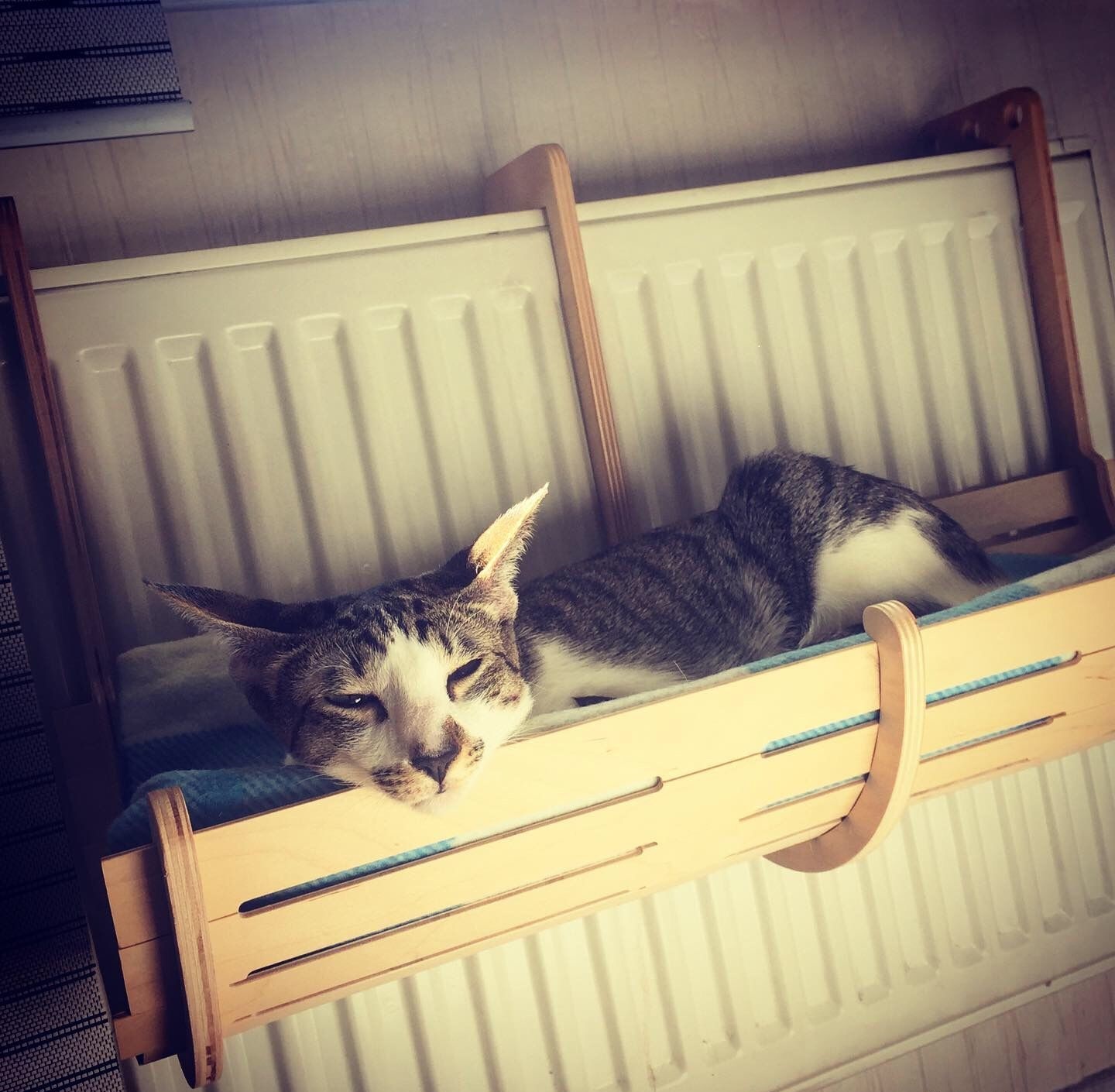 Detay Görüntüsü
