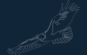 EAGLE2 - 1.DXF