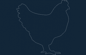 Tavuk dxf dosyası