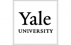 Yale Logosu dxf Dosyası