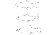 Kokanee somonu dxf dosyası