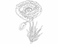 Şenlikli Şeyler 14 dxf Dosyası
