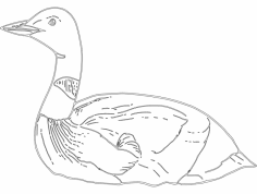 Ördek DXF Dosyası