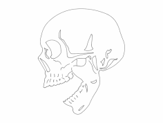 Czacha 2,5mm dxf Dosyası