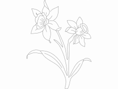 daf-1 dxf Dosyası