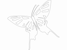 Kelebek DXF Dosyası
