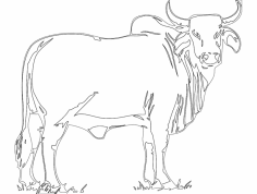 Boğa dxf Dosyası