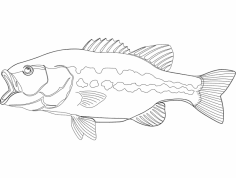 Peixe dxf Dosyası