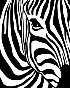 Zebra Desen Vektör Ücretsiz Vektör