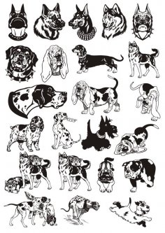Köpekler Vektör Çizim Paketi Ücretsiz Vektör