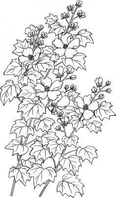 Vektör Baimiao Hibiscus Çiçekleri Ücretsiz Vektör