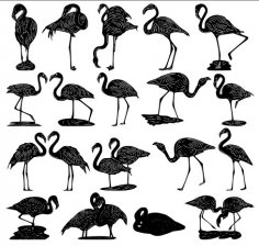 Flamingo Vektör Paketi DXF Dosyası