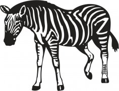 Zebra Ücretsiz Vektör