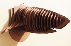 Köpekbalığı Kupası 3mm DXF Dosyası