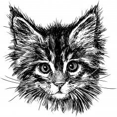 Elle Çizilmiş Kedi Ücretsiz Vektör