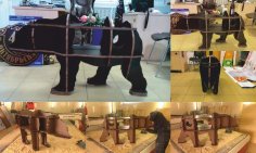 Ayı Raf Planı Vektör CNC Router Lazer Kesim DXF Dosyası
