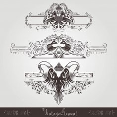 Farklı kuşlar ve desene sahip üç adet vintage gravür banner'ı ücretsiz vektör