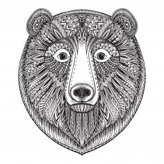 Zentangle Ayı Ücretsiz Vektör