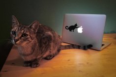 Lazer Kesim Laptop Sticker Kedi 12x7cm DXF Dosyası