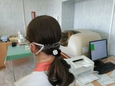 Lazer Kesim Yüz Maskesi Kulak Koruyucu Ücretsiz Vektör