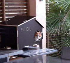 Lazer Kesim Kedi Evi DXF Dosyası