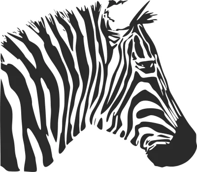 Zebra Şablonu Ücretsiz Vektör CDR çizimi