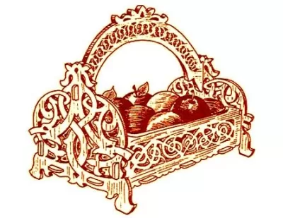 Korzinka Drak PDF Dosyası PDF çizimi