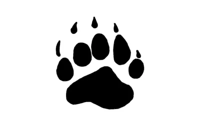 AYI PAW dxf Dosyası DXF çizimi