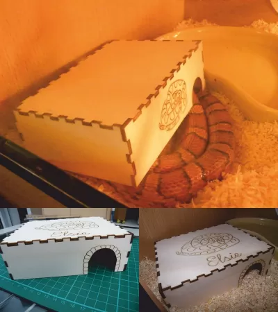 Lazer Kesim Yılan Evi DXF Dosyası DXF çizimi