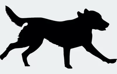 Labrador Retriever 00 1 dxf Dosyası DXF çizimi